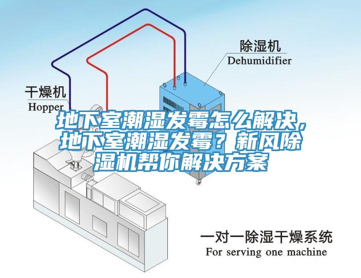 地下室潮濕發(fā)霉怎么解決，地下室潮濕發(fā)霉？新風(fēng)除濕機(jī)幫你解決方案