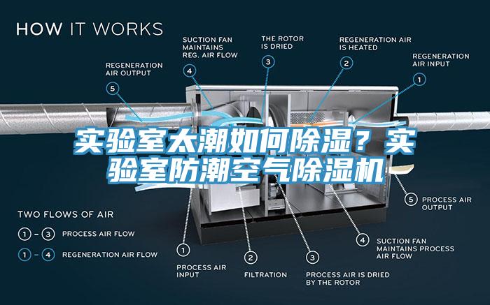 實驗室太潮如何除濕？實驗室防潮空氣除濕機