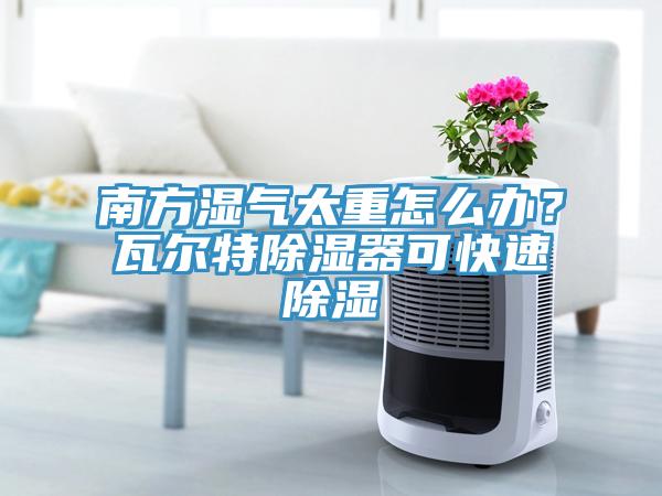 南方濕氣太重怎么辦？瓦爾特除濕器可快速除濕