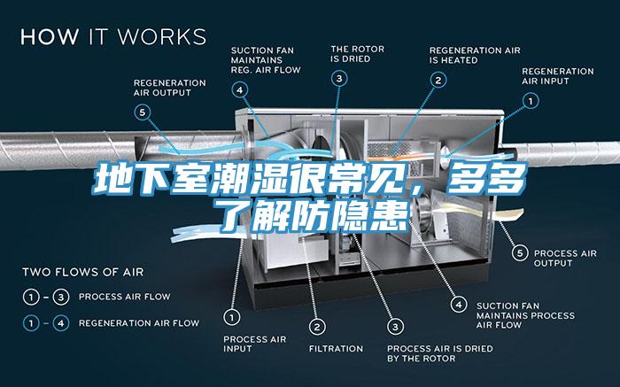 地下室潮濕很常見，多多了解防隱患