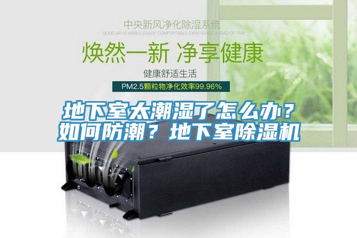 地下室太潮濕了怎么辦？如何防潮？地下室除濕機