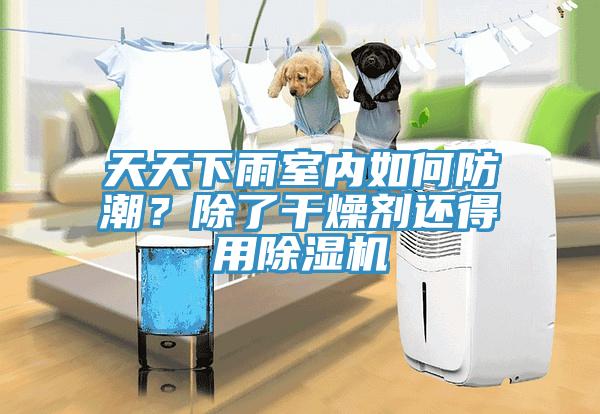 天天下雨室內(nèi)如何防潮？除了干燥劑還得用除濕機(jī)