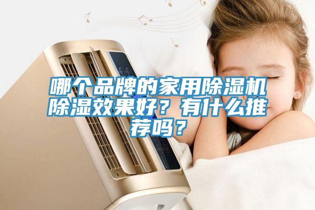 哪個品牌的家用除濕機(jī)除濕效果好？有什么推薦嗎？