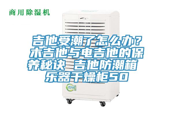 吉他受潮了怎么辦？木吉他與電吉他的保養(yǎng)秘訣 吉他防潮箱 樂(lè)器干燥柜50