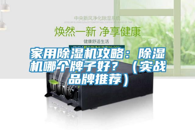 家用除濕機攻略：除濕機哪個牌子好？（實戰(zhàn)品牌推薦）