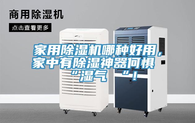 家用除濕機哪種好用，家中有除濕神器何懼 “濕氣 “！