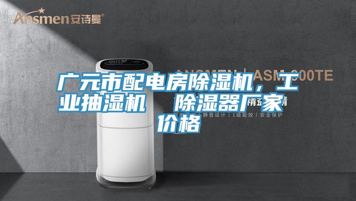 廣元市配電房除濕機，工業(yè)抽濕機  除濕器廠家 價格