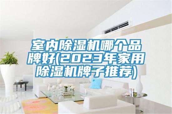 室內(nèi)除濕機哪個品牌好(2023年家用除濕機牌子推薦)