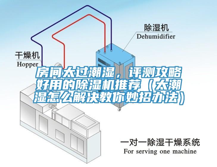 房間太過潮濕，評測攻略好用的除濕機(jī)推薦（太潮濕怎么解決教你妙招辦法）