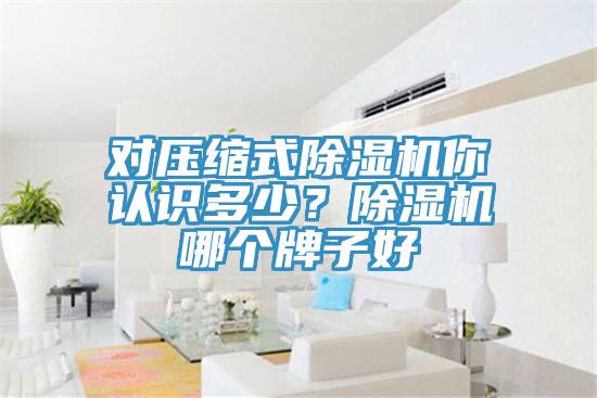 對壓縮式除濕機你認識多少？除濕機哪個牌子好