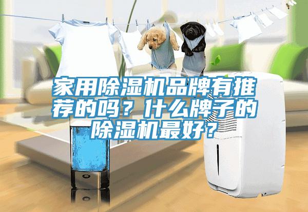 家用除濕機(jī)品牌有推薦的嗎？什么牌子的除濕機(jī)最好？