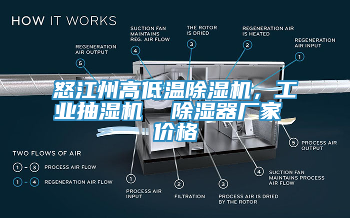 怒江州高低溫除濕機，工業(yè)抽濕機  除濕器廠家 價格