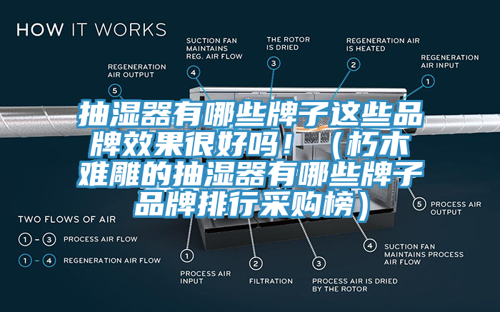 抽濕器有哪些牌子這些品牌效果很好嗎?。ㄐ嗄倦y雕的抽濕器有哪些牌子品牌排行采購榜）