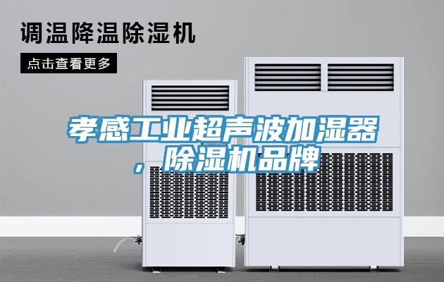 孝感工業(yè)超聲波加濕器，除濕機品牌