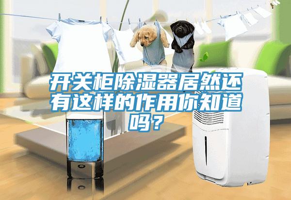 開關柜除濕器居然還有這樣的作用你知道嗎？