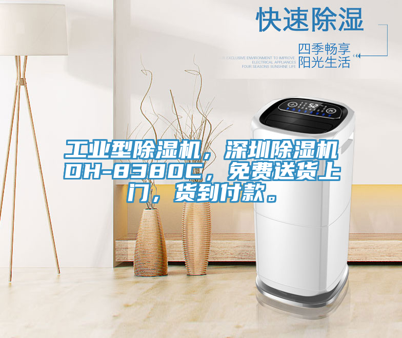 工業(yè)型除濕機(jī)，深圳除濕機(jī)DH-8380C，免費(fèi)送貨上門(mén)，貨到付款。