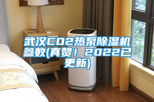 武漢CO2熱泵除濕機參數(真贊！2022已更新)