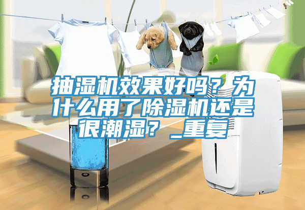 抽濕機效果好嗎？為什么用了除濕機還是很潮濕？_重復