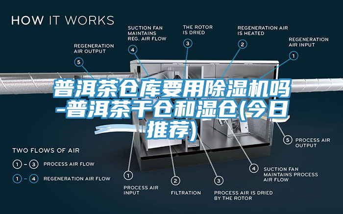 普洱茶倉庫要用除濕機嗎-普洱茶干倉和濕倉(今日推薦)