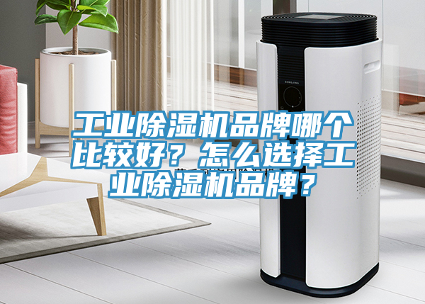 工業(yè)除濕機品牌哪個比較好？怎么選擇工業(yè)除濕機品牌？