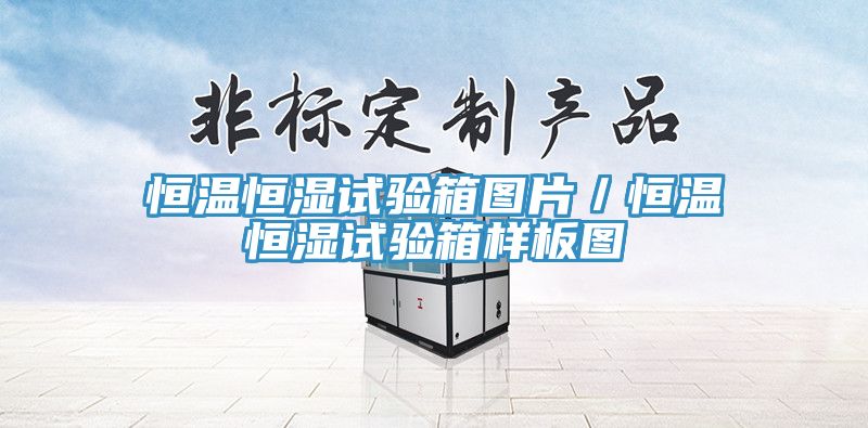 恒溫恒濕試驗(yàn)箱圖片／恒溫恒濕試驗(yàn)箱樣板圖