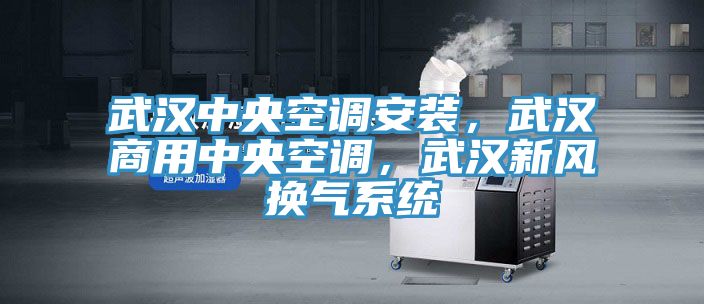 武漢中央空調安裝，武漢商用中央空調，武漢新風換氣系統(tǒng)