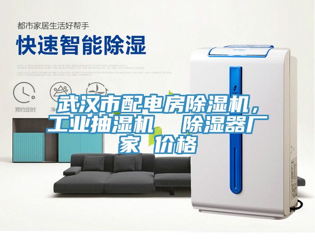 武漢市配電房除濕機(jī)，工業(yè)抽濕機(jī)  除濕器廠家 價格