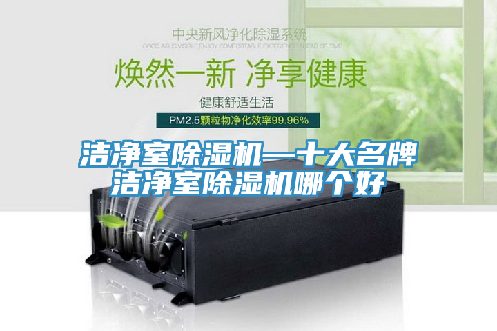 潔凈室除濕機(jī)—十大名牌潔凈室除濕機(jī)哪個(gè)好