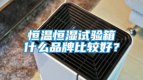 恒溫恒濕試驗(yàn)箱什么品牌比較好？