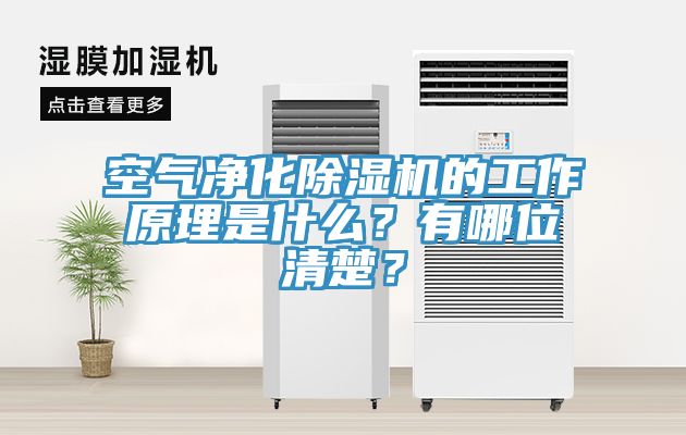 空氣凈化除濕機(jī)的工作原理是什么？有哪位清楚？