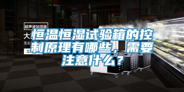 恒溫恒濕試驗(yàn)箱的控制原理有哪些，需要注意什么？