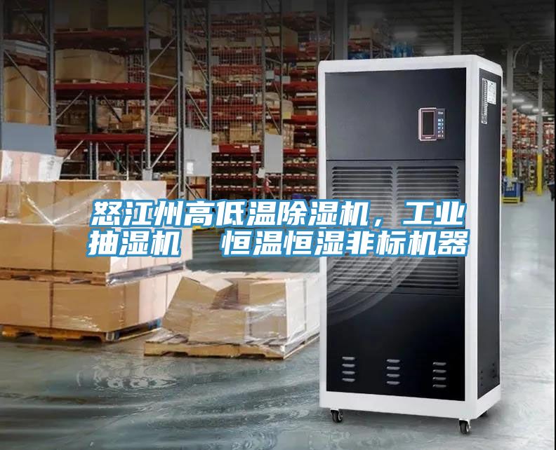 怒江州高低溫除濕機，工業(yè)抽濕機  恒溫恒濕非標(biāo)機器