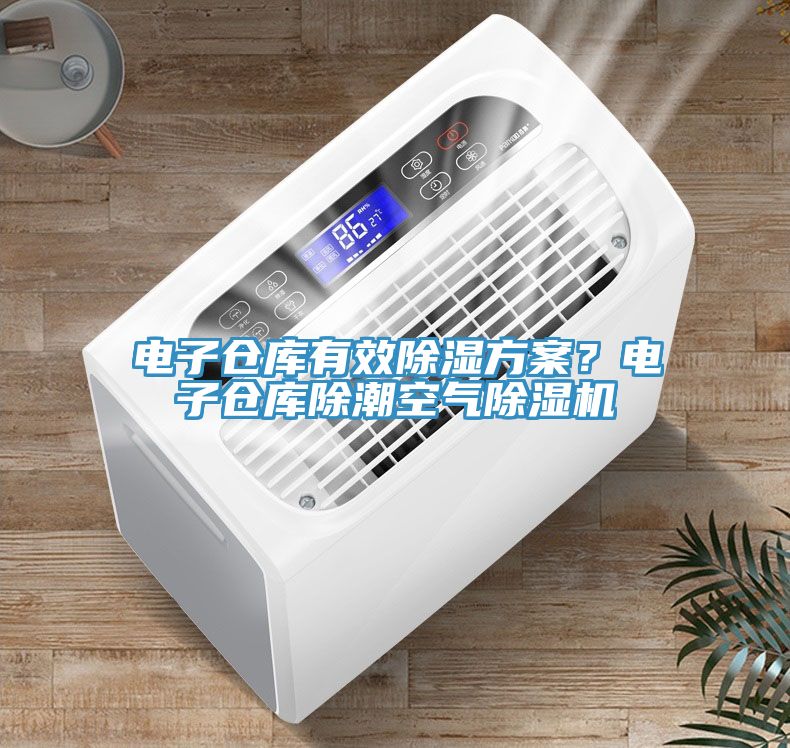 電子倉庫有效除濕方案？電子倉庫除潮空氣除濕機