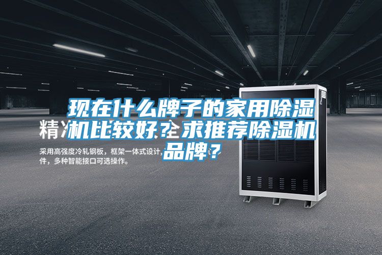 現在什么牌子的家用除濕機比較好？求推薦除濕機品牌？