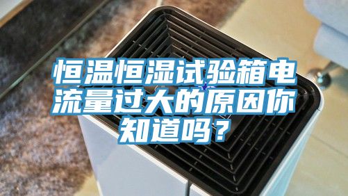 恒溫恒濕試驗箱電流量過大的原因你知道嗎？