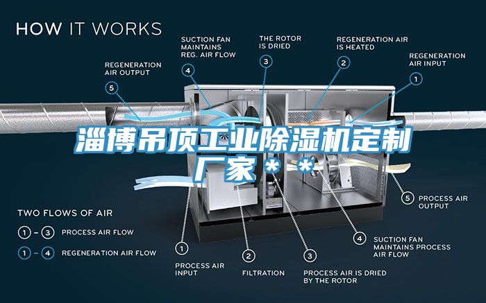 淄博吊頂工業(yè)除濕機定制 廠家＊＊