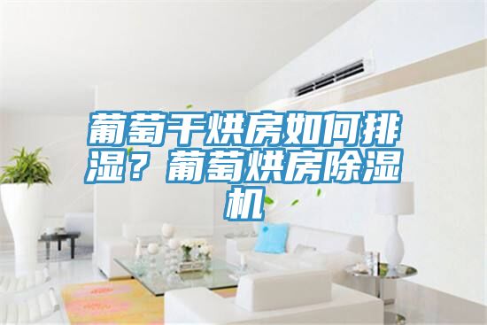 葡萄干烘房如何排濕？葡萄烘房除濕機(jī)