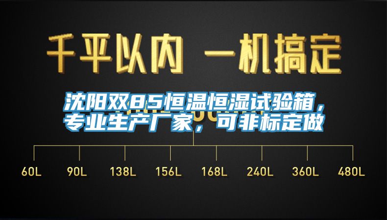 沈陽雙85恒溫恒濕試驗箱，專業(yè)生產(chǎn)廠家，可非標定做