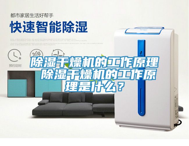 除濕干燥機的工作原理 除濕干燥機的工作原理是什么？