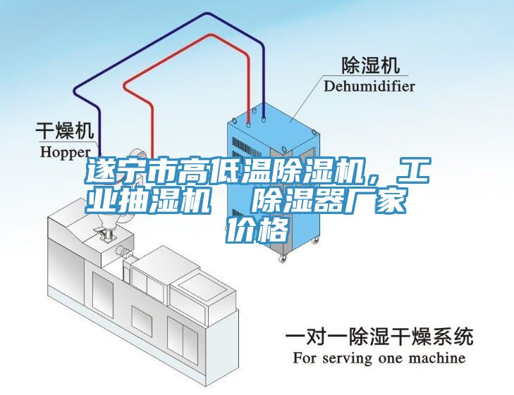 遂寧市高低溫除濕機，工業(yè)抽濕機  除濕器廠家 價格