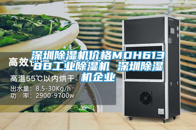 深圳除濕機(jī)價格MDH6138B工業(yè)除濕機(jī) 深圳除濕機(jī)企業(yè)