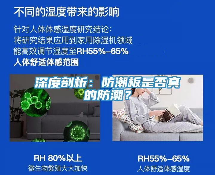 深度剖析：防潮板是否真的防潮？