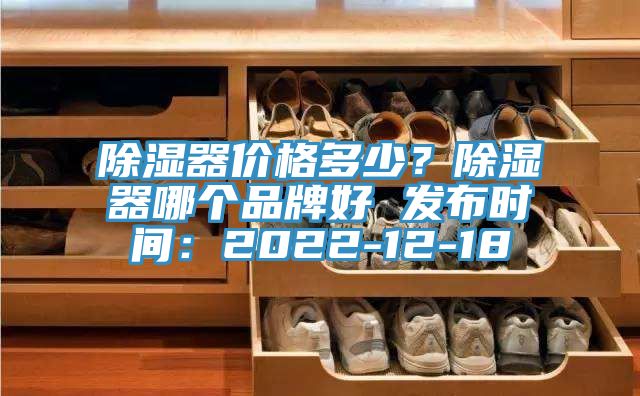 除濕器價格多少？除濕器哪個品牌好 發(fā)布時間：2022-12-18