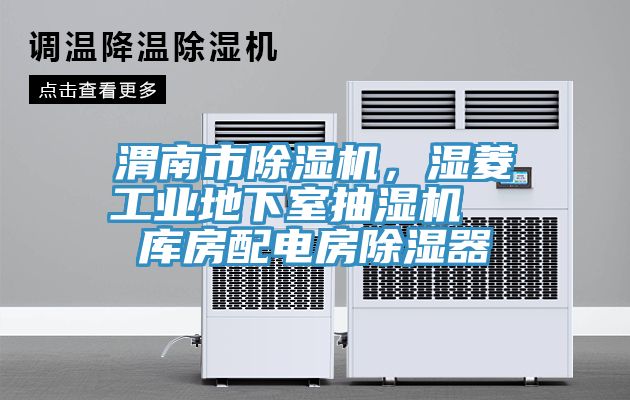 渭南市除濕機，濕菱工業(yè)地下室抽濕機  庫房配電房除濕器