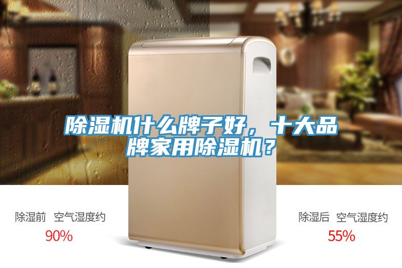 除濕機什么牌子好，十大品牌家用除濕機？