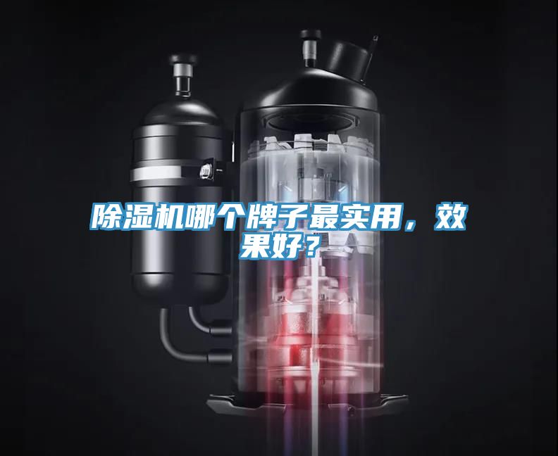 除濕機哪個牌子最實用，效果好？