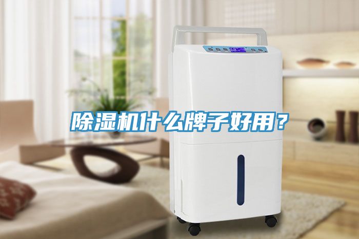 除濕機什么牌子好用？