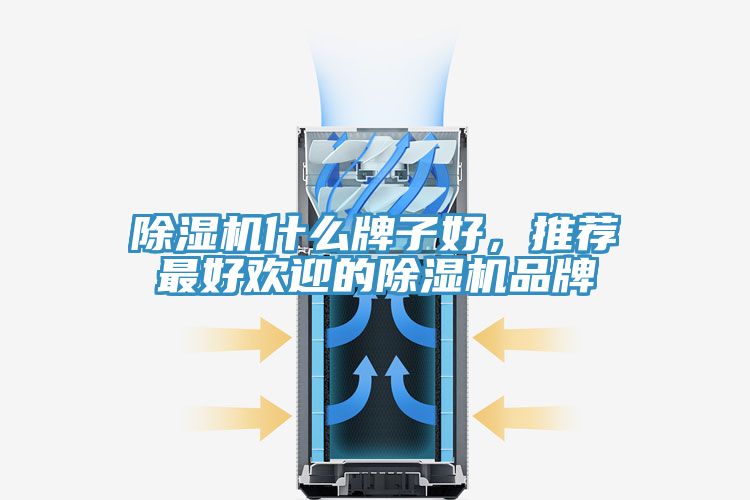 除濕機什么牌子好，推薦最好歡迎的除濕機品牌