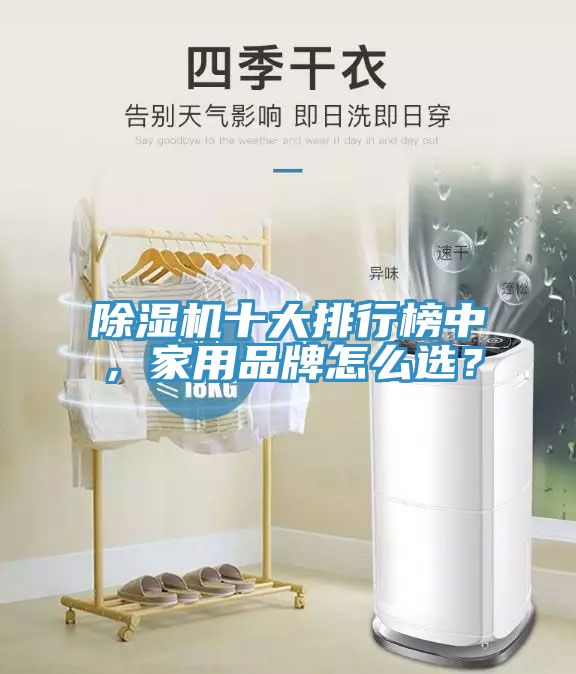 除濕機(jī)十大排行榜中，家用品牌怎么選？