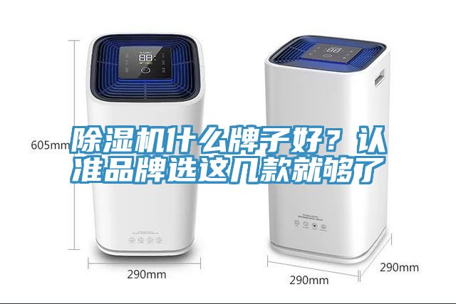 除濕機什么牌子好？認準品牌選這幾款就夠了